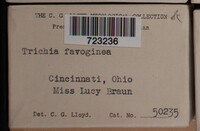 Image Associated With the Occurence